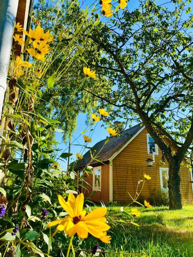 Pensionat Lilla Paradiset Hällevik Extérieur photo